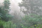 Bulga Forestlandscaping-irrigation-4.jpg; ?>